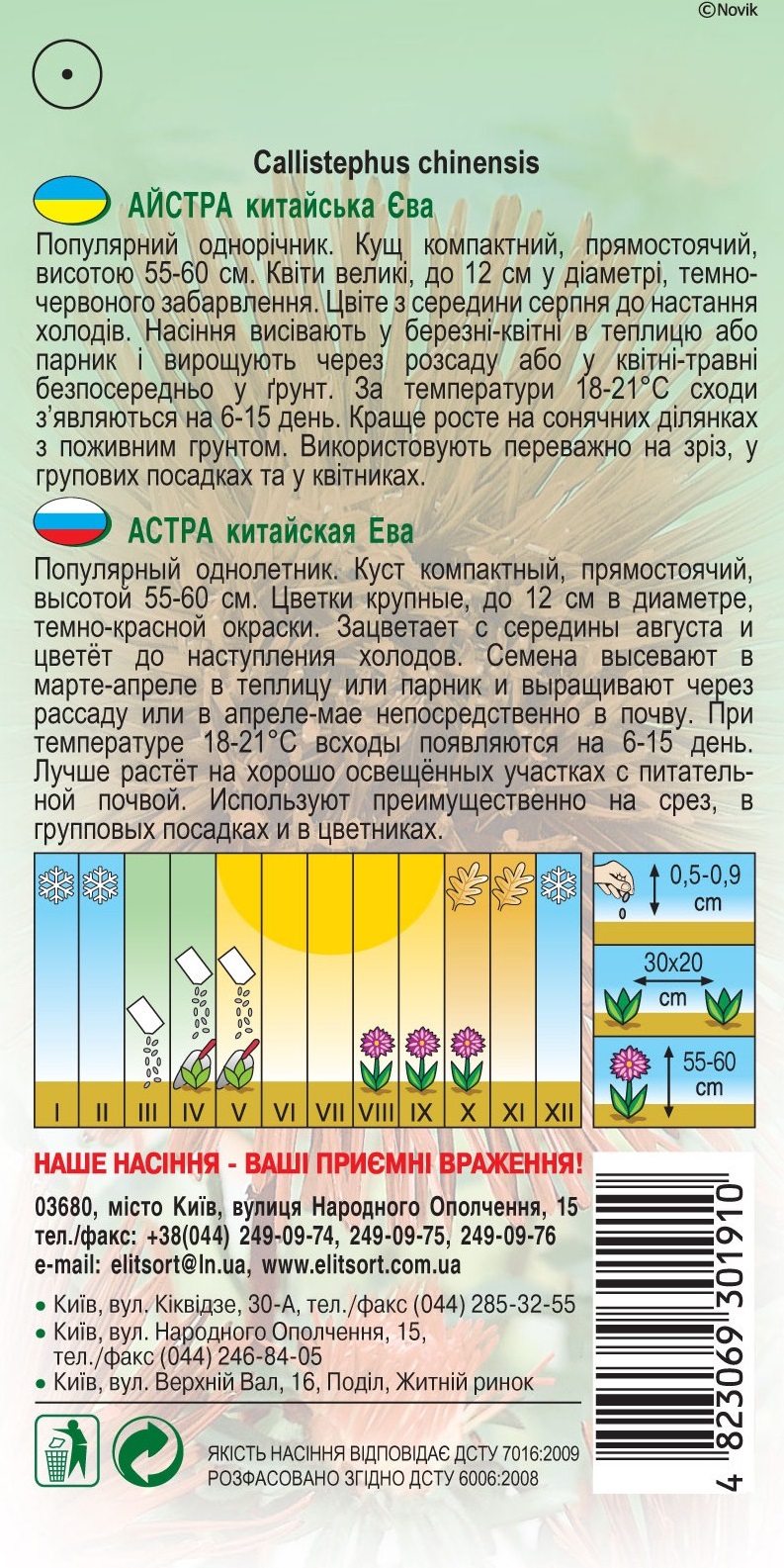 АСТРА-китайская-Ева 1