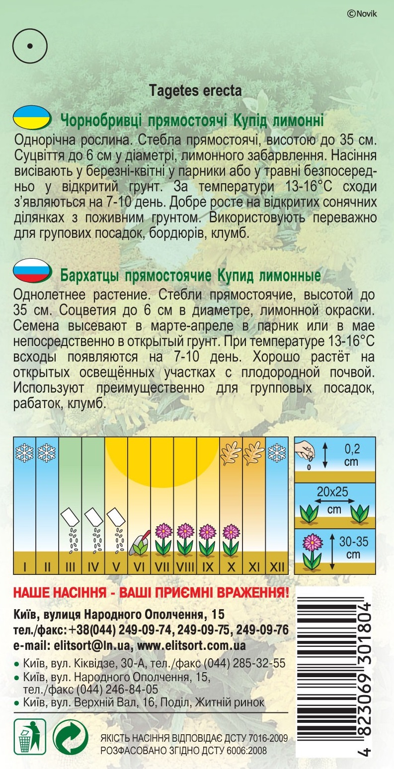 Бархатцы-прямостоячие-Купид-лимонные 12