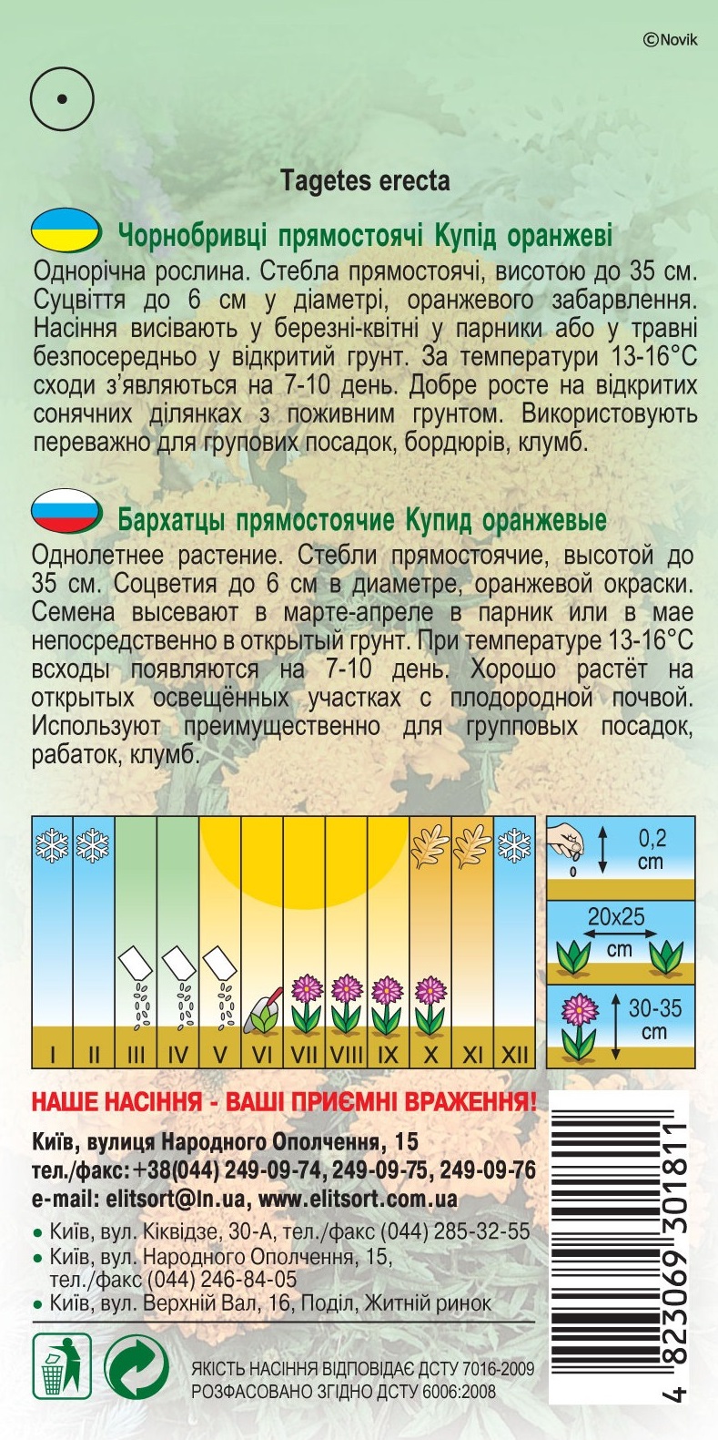 Бархатцы-прямостоячие-Купид-оранжевые1