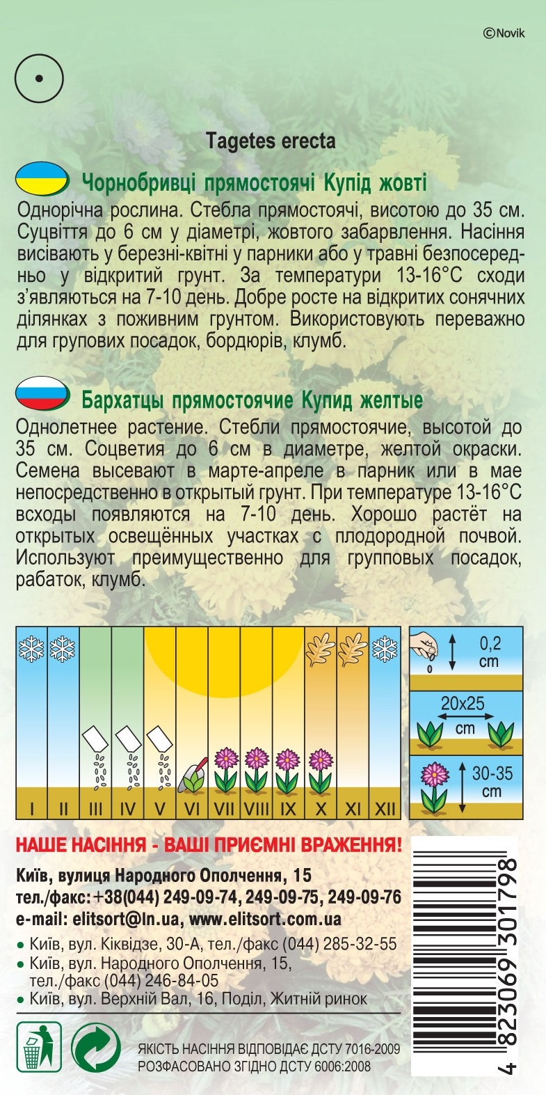 Бархатцы прямостоячие Купид желтые