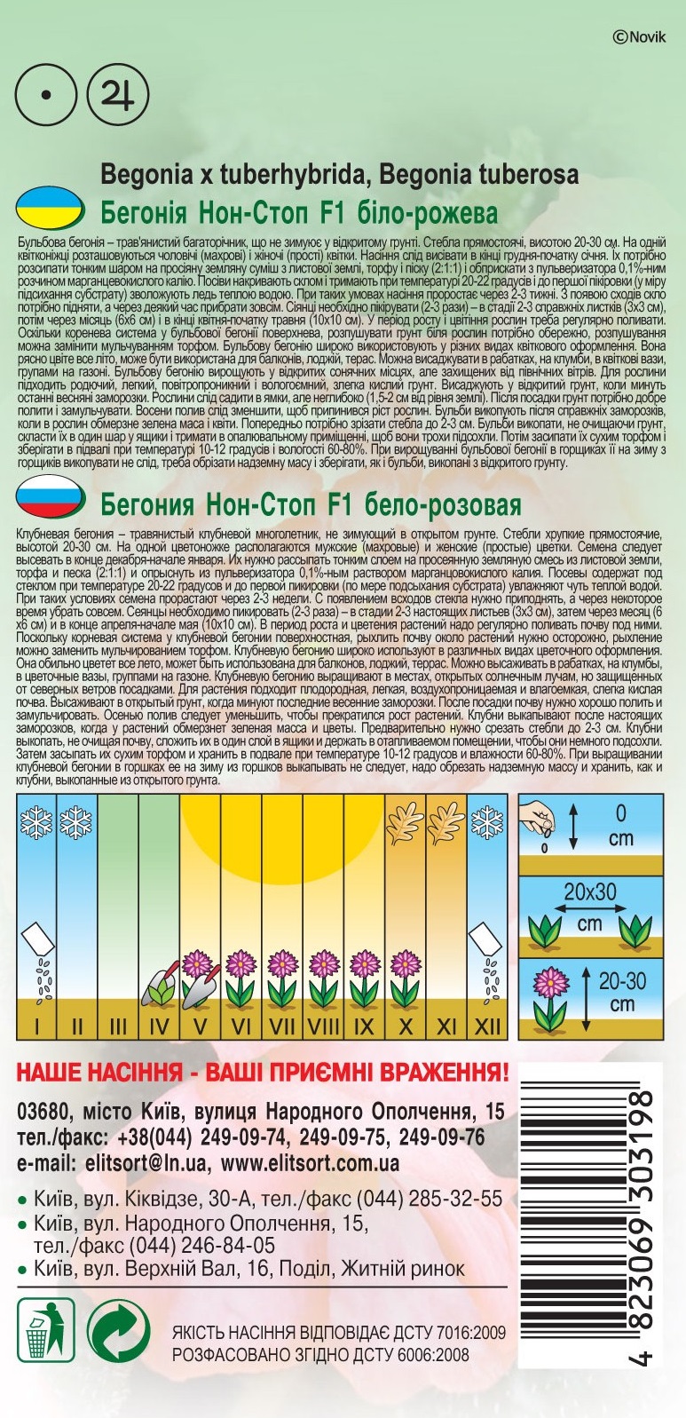 Бегония-Нон-Стоп-F1-бело-розовая1