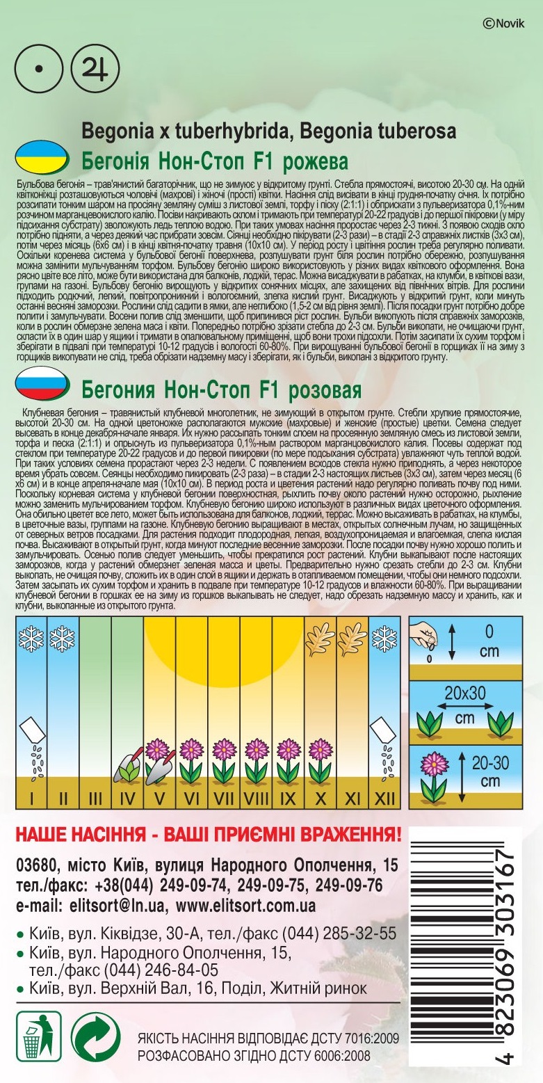 Бегония-Нон-Стоп-F1-розовая1