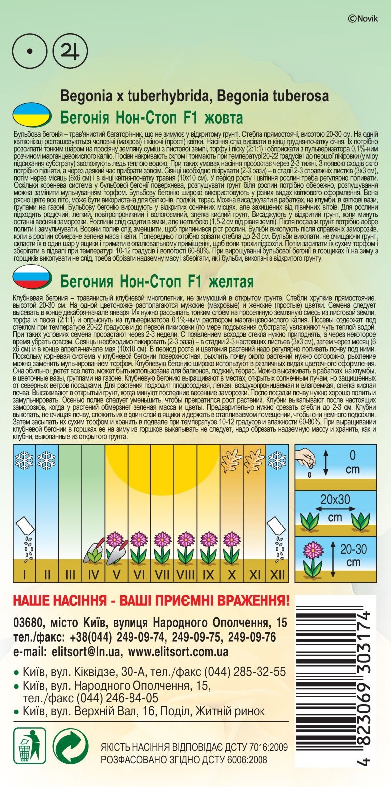 Бегония-Нон-Стоп-F1-желтая1