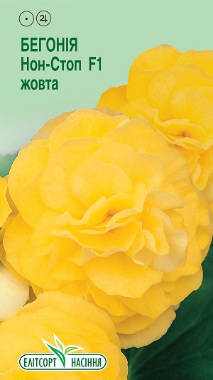 Бегония Нон Стоп желтая