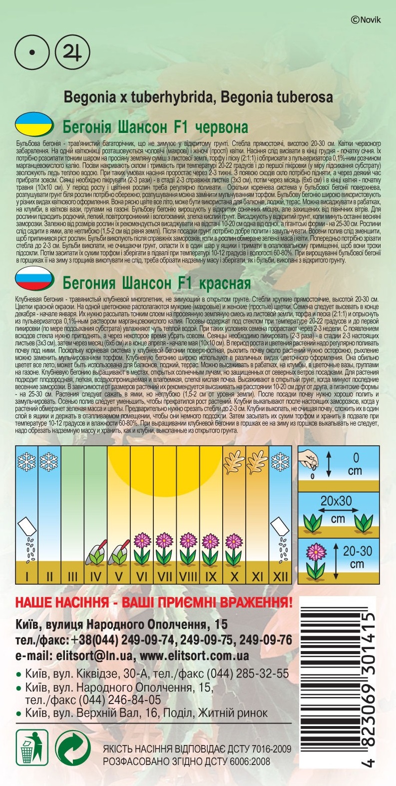 Бегония-Шансон-F1-красная1