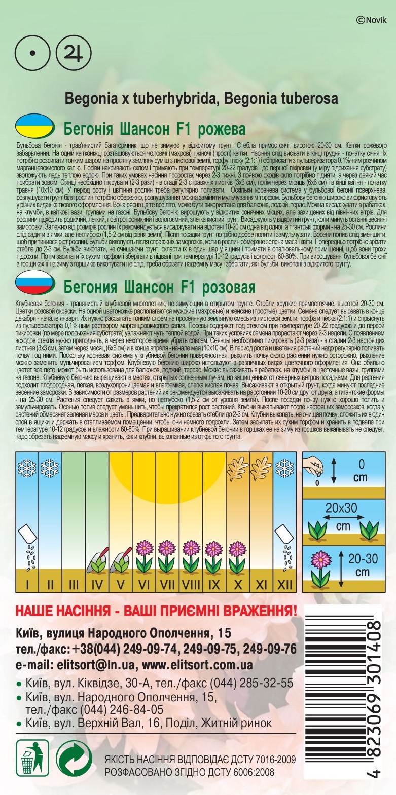 Бегония-Шансон-F1-розовая1