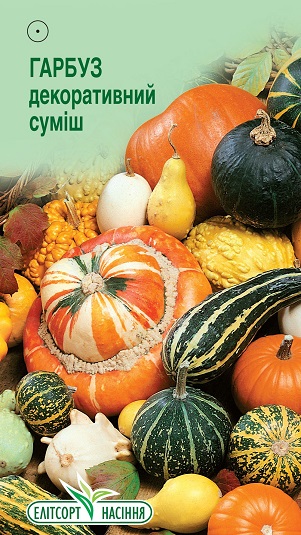 Гарбуз-декор-сумиш