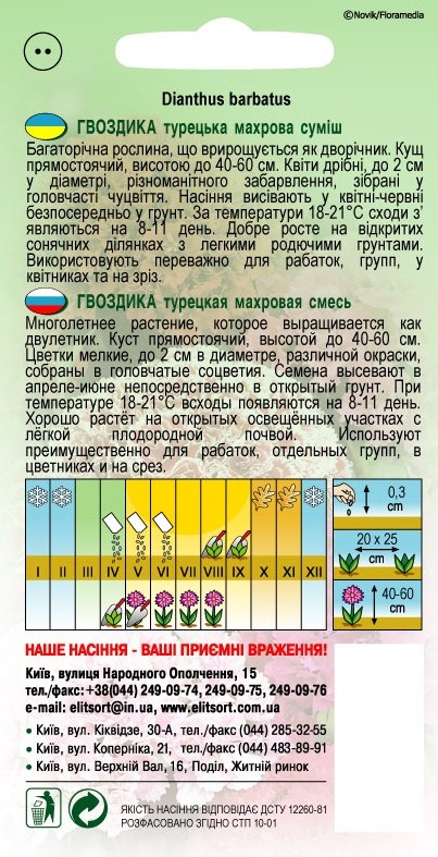 Gvozdika_Turecka_maxrova_cmec1