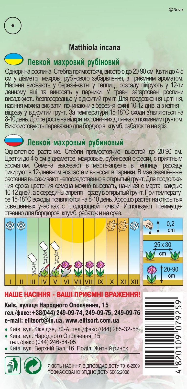 Левкои-рубиниви1452