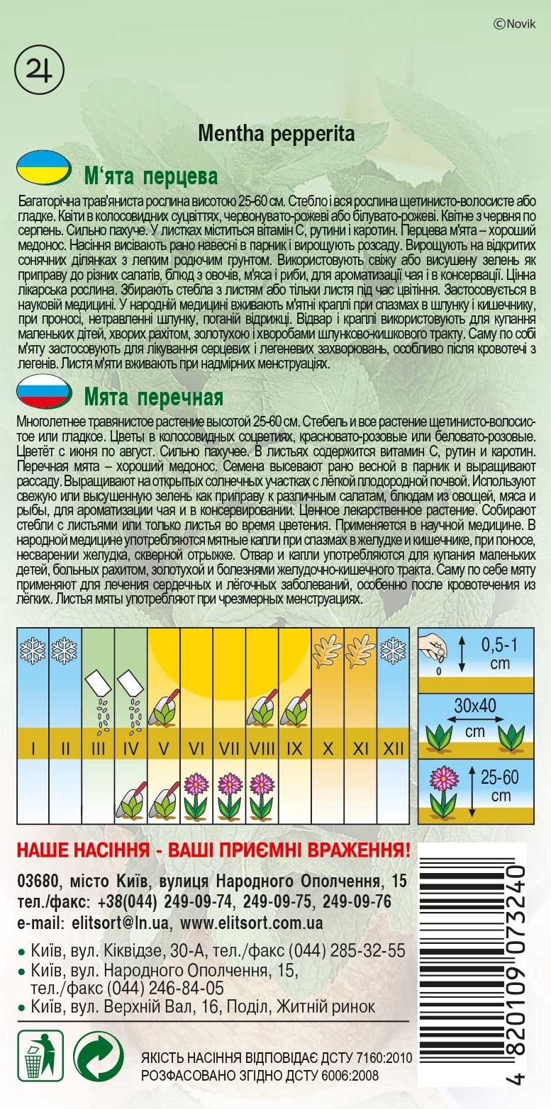 Мята-перцева-(перечная)1