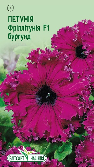 Петуния-Фриллитуния-F1-бургунд11