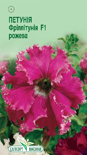 Петуния-Фриллитуния-F1-розовая112
