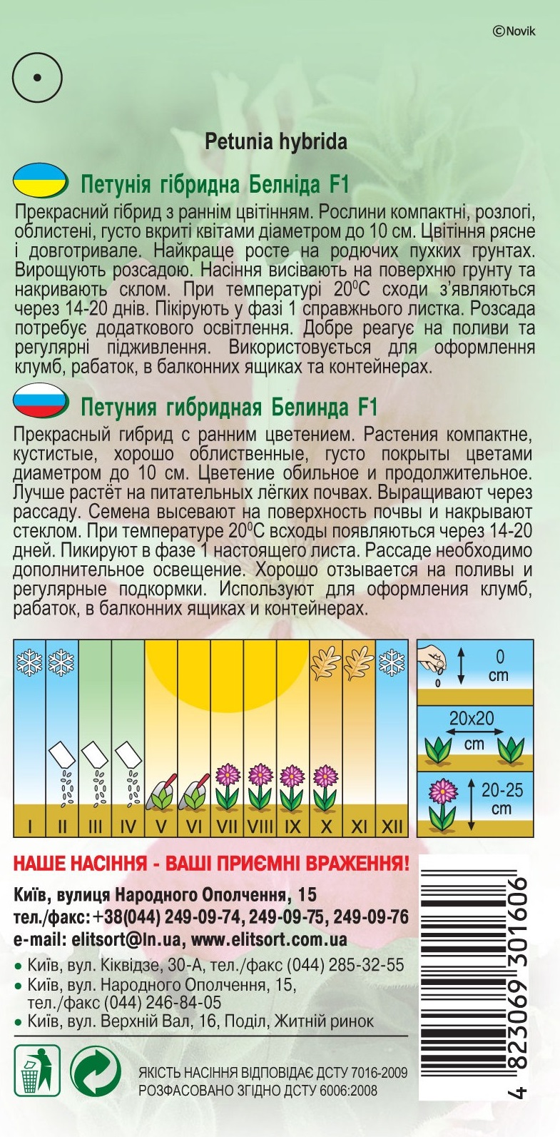 Петуния-гибридная-Белинда-F11