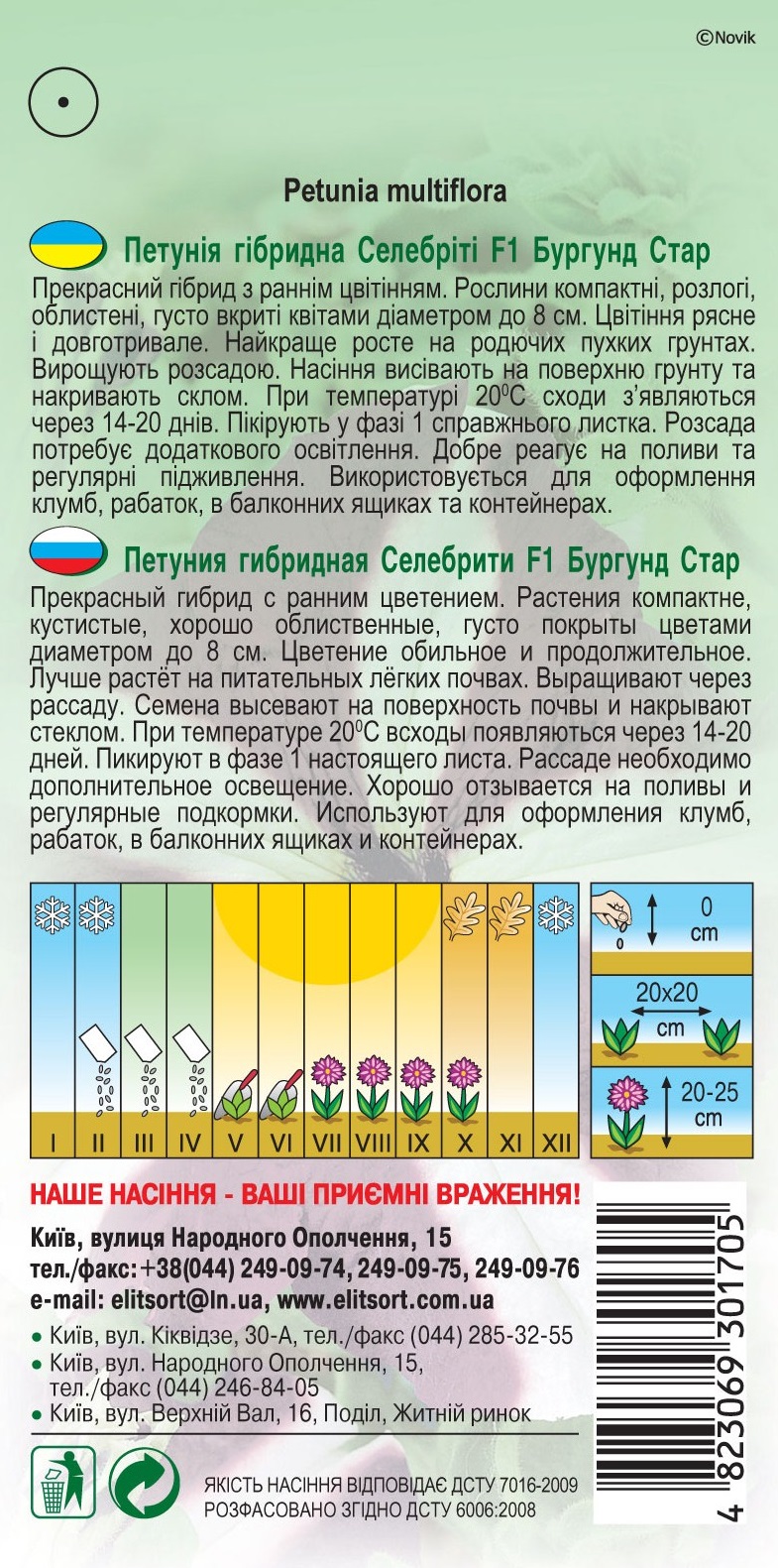 Петуния-гибридная-Селебрити-F1-Бургунд-Стар