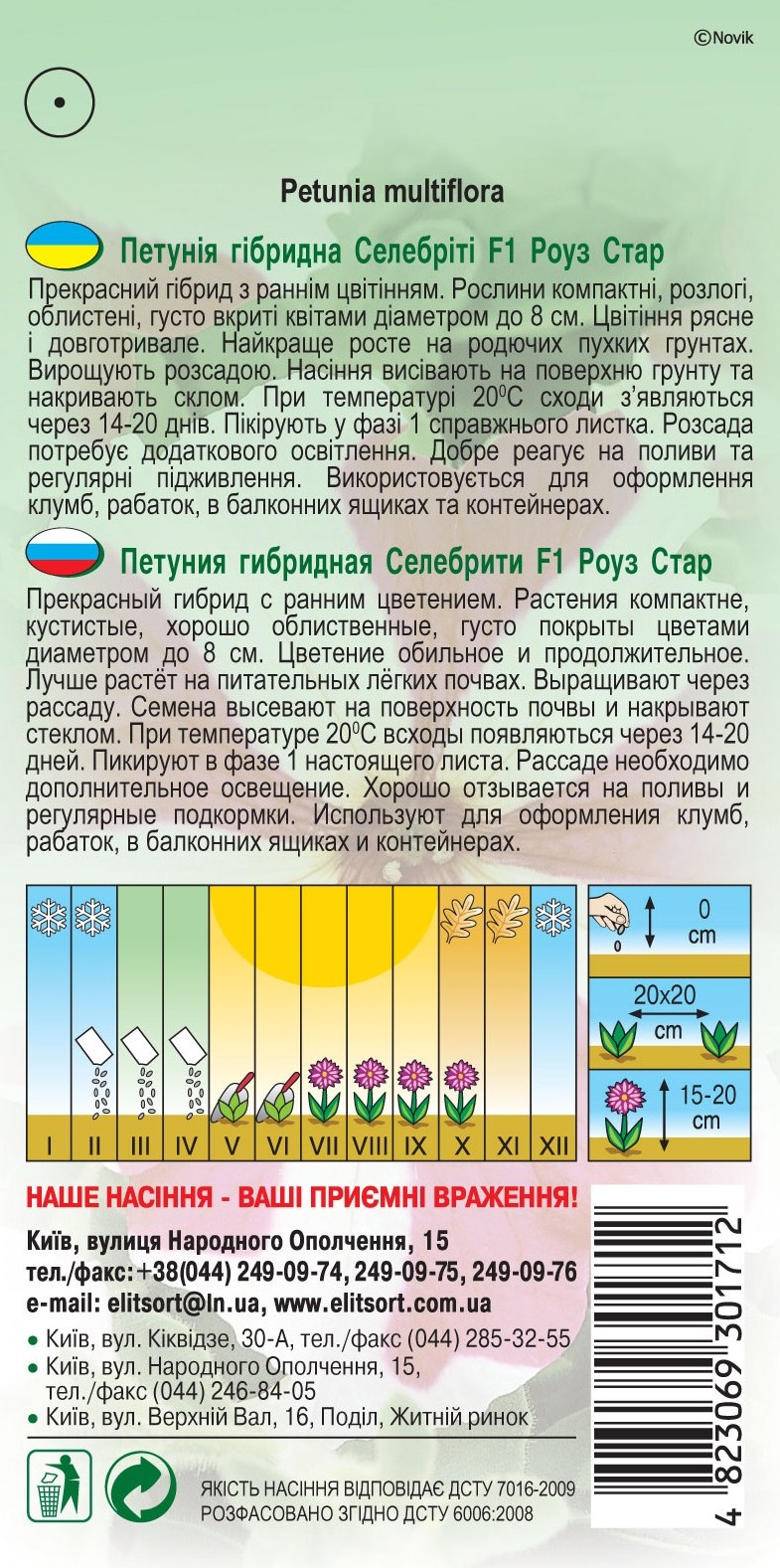 Петуния-гибридная-Селебрити-F1-Роуз-Стар