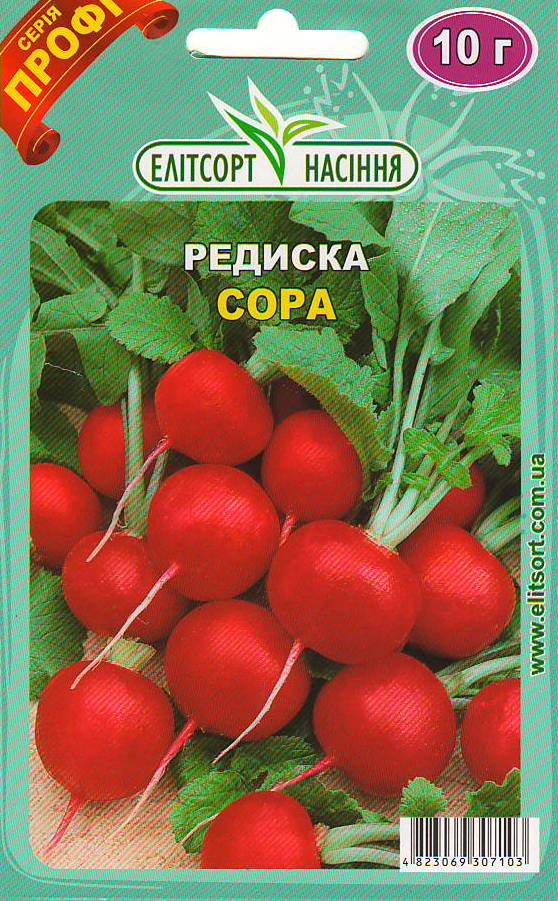Scan10009