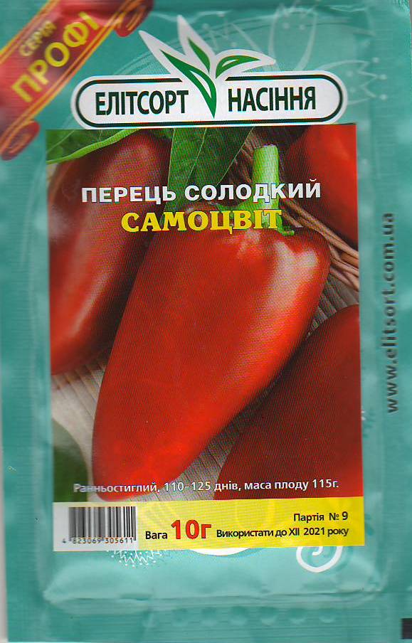 Scan10013