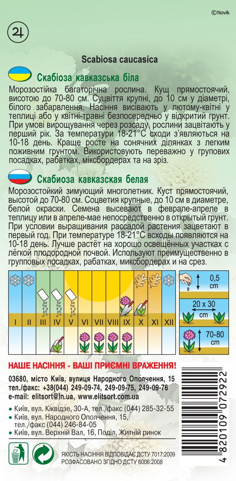 Скабиоза-кавказская-белая1452