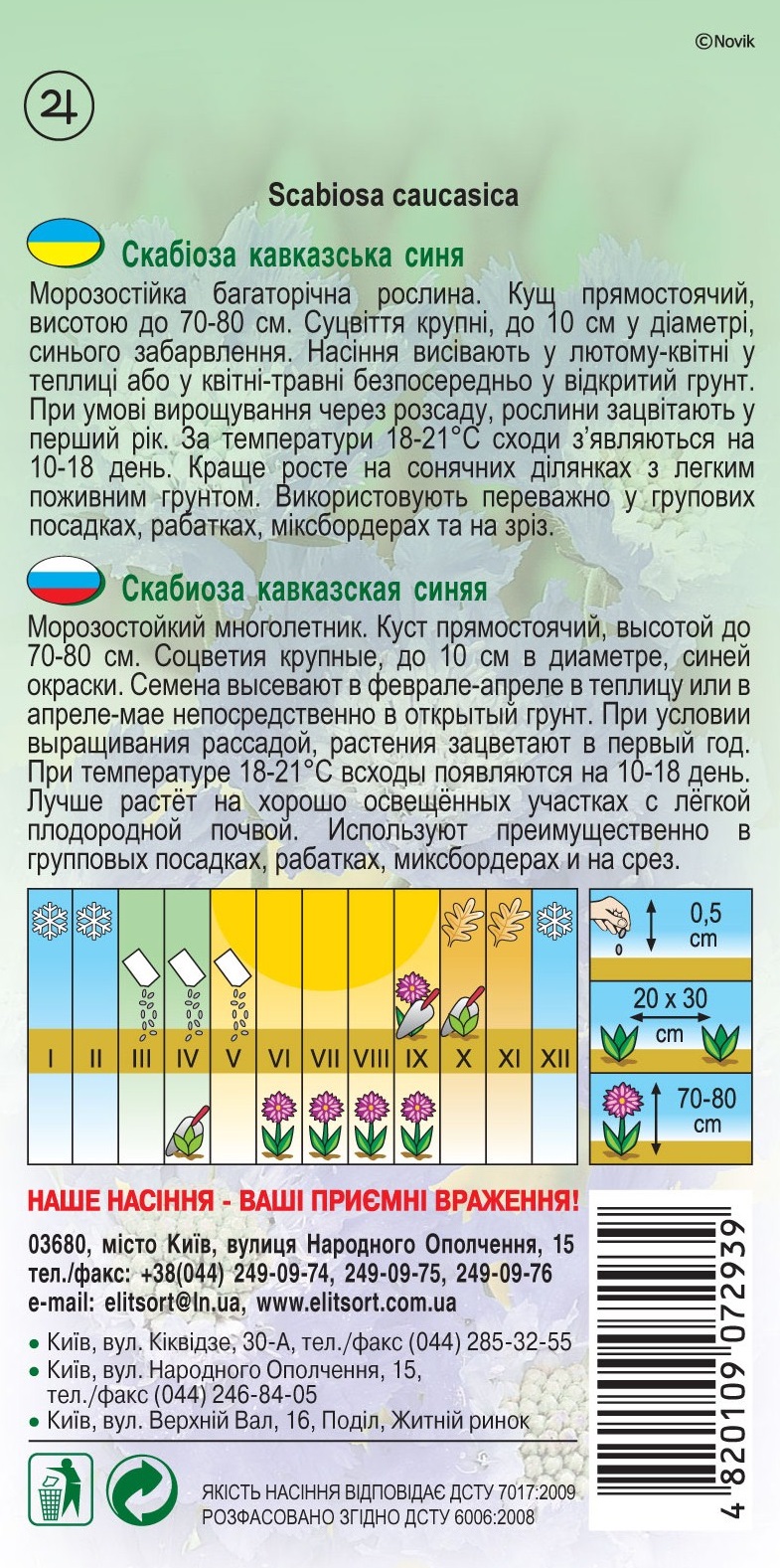 Скабиоза-кавказская-синяя145