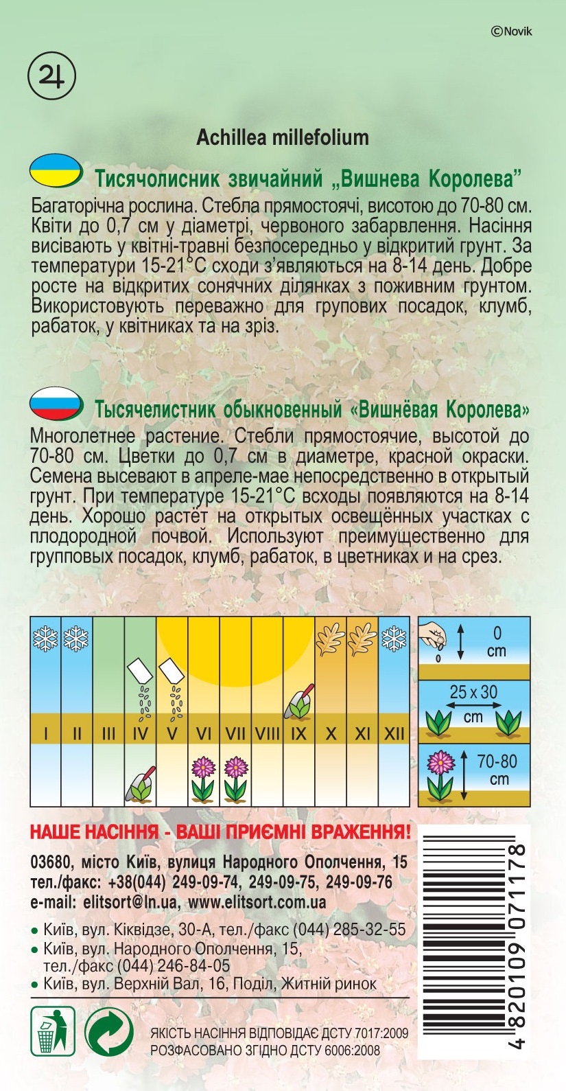 Тысячелистник-Вишневая-Королева152