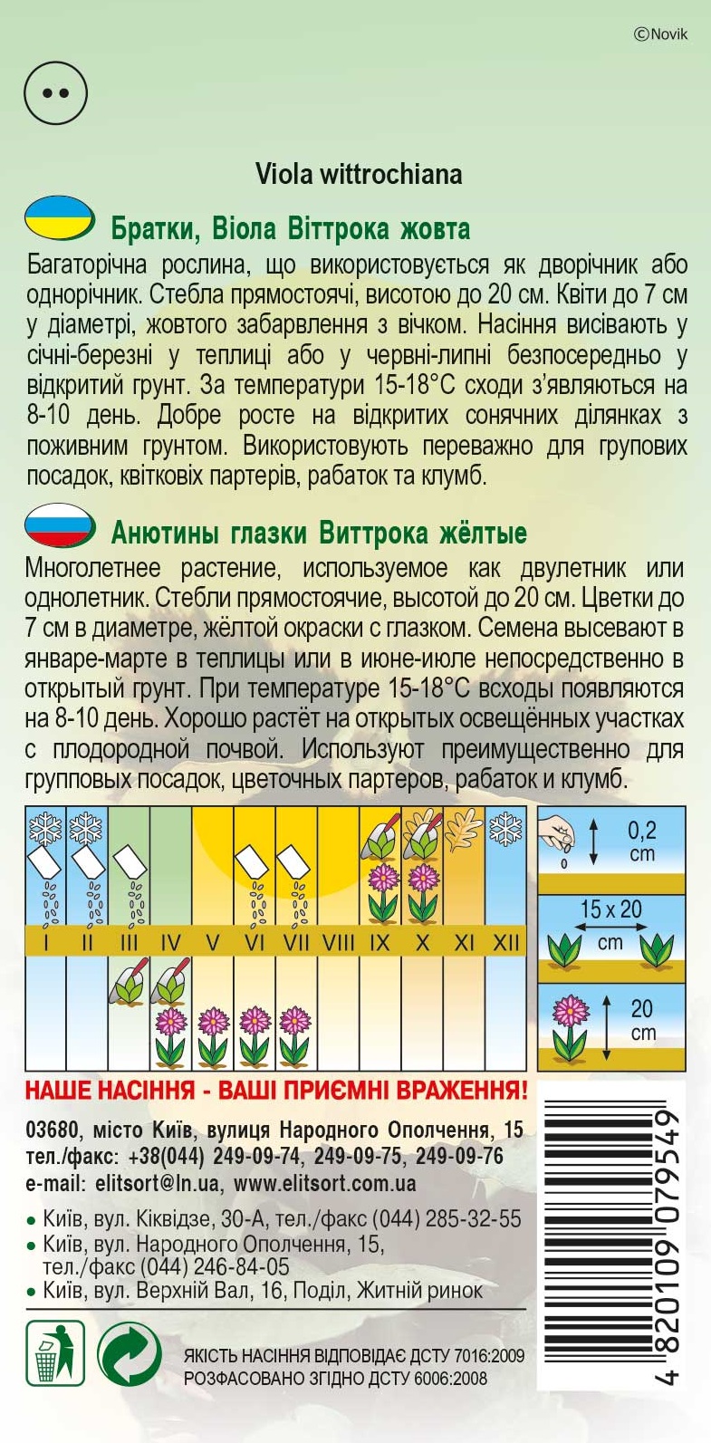 Віола жовта
