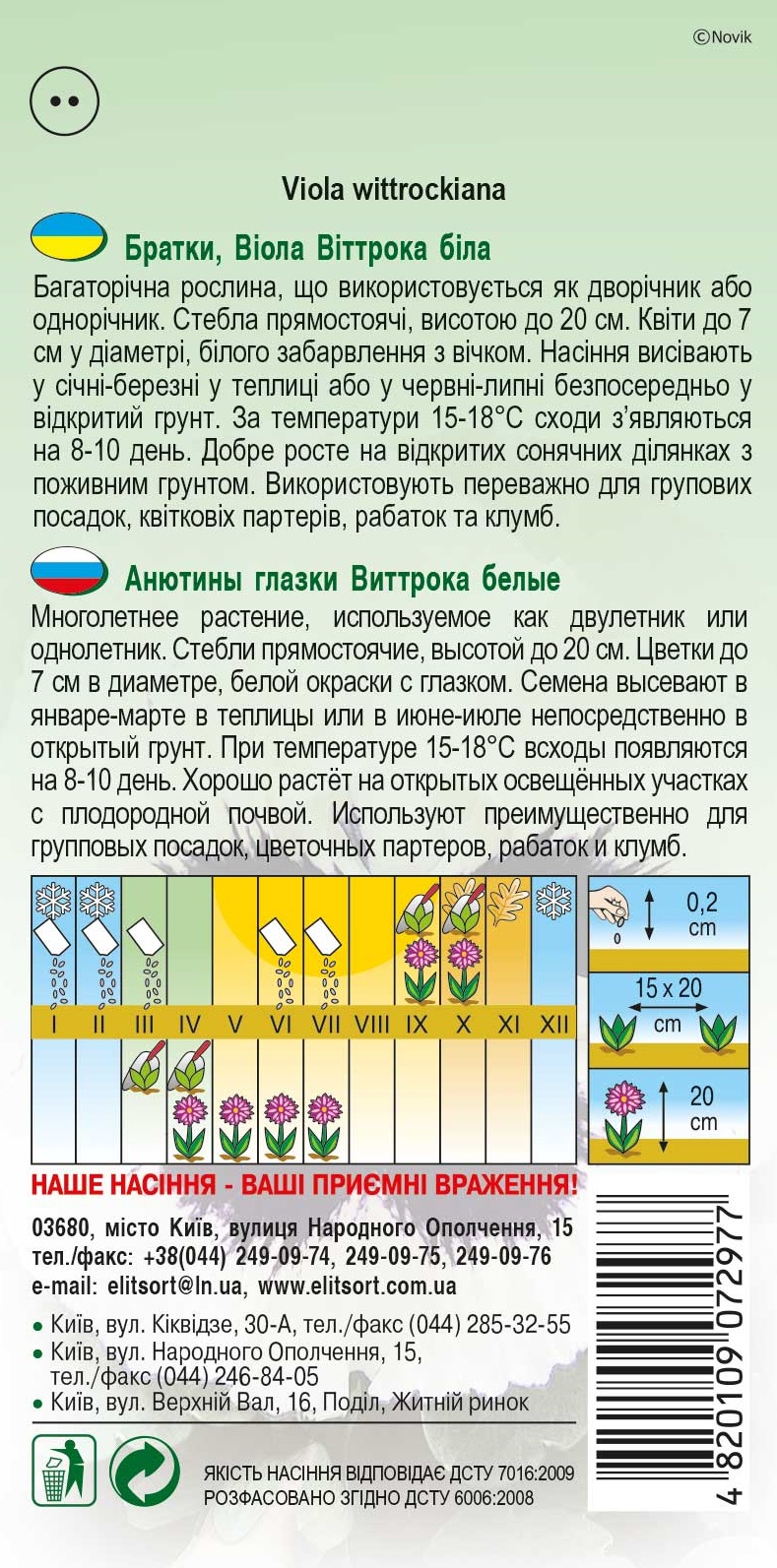 Виола-белая-(Фиалка)1