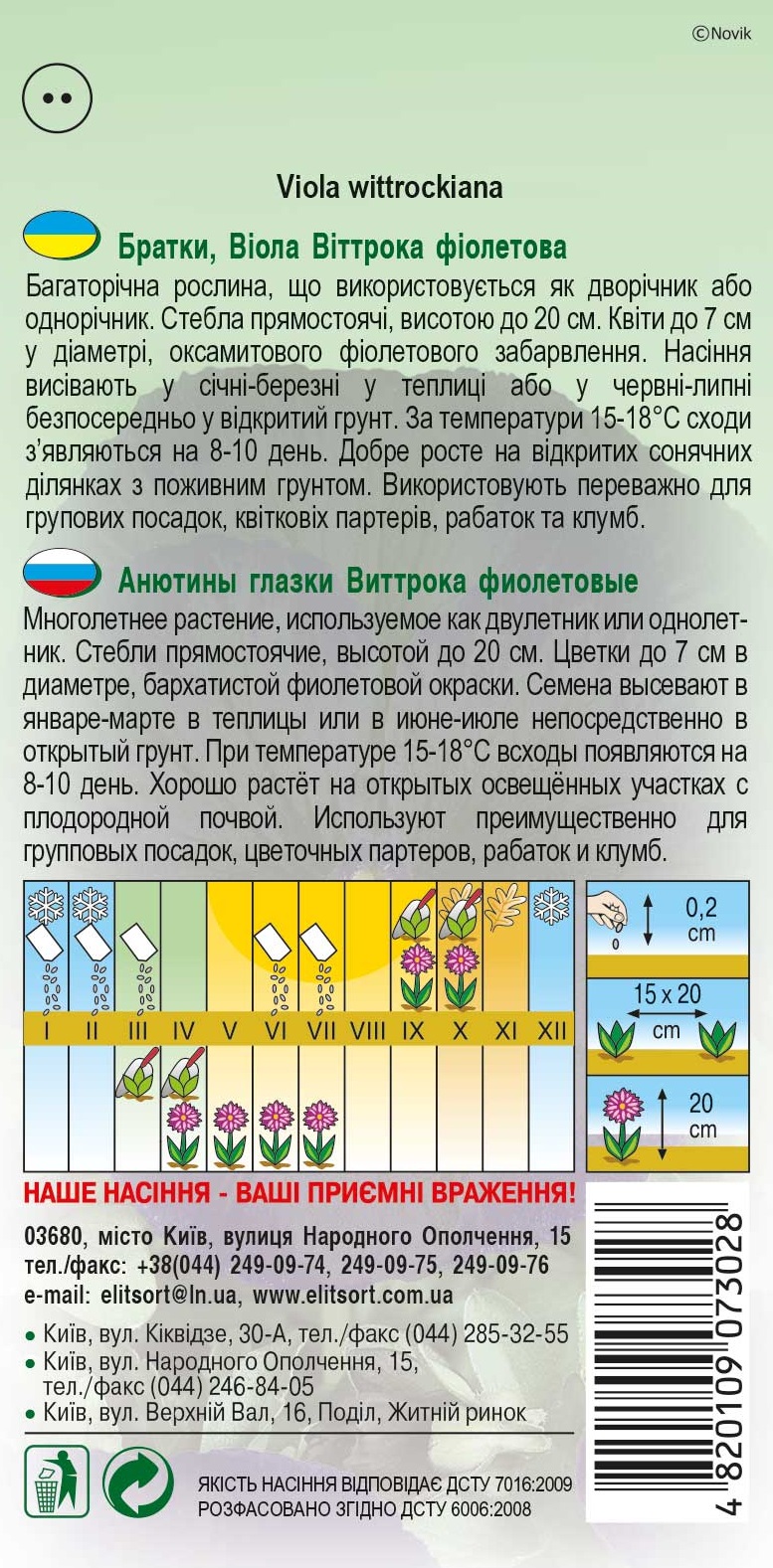 Виола фиолетовая Фиалка