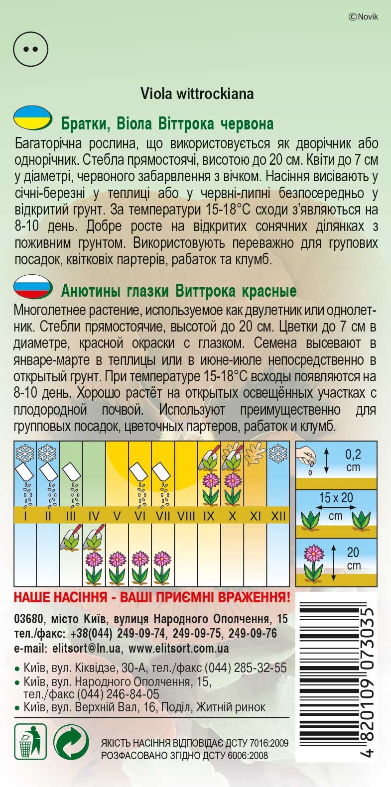 Виола красная Фиалка