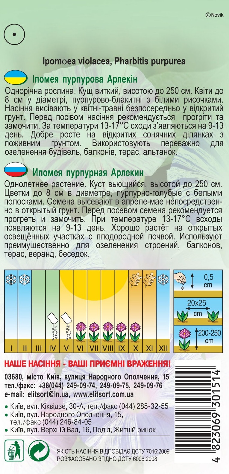 Ипомея-пурпурная-Арлекин1245