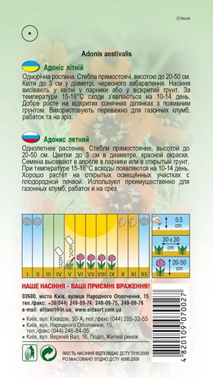 adonis-litnij-1