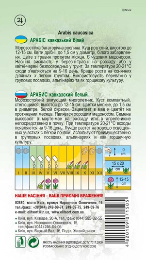 arabis-kavkazkyj-bilyj-1