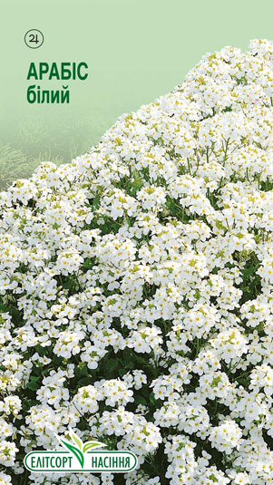 arabis-kavkazkyj-bilyj