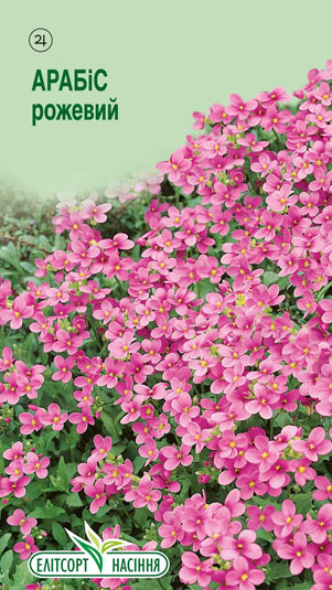 arabis-kavkazkyj-rozhevyj