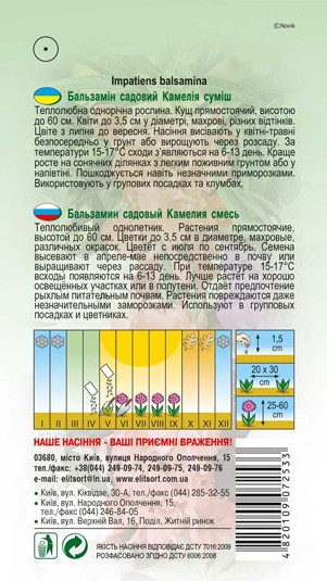 balzamin-kameliya-1