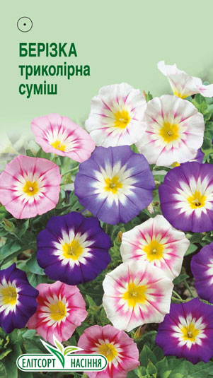 berizka-trykolirna-sumish