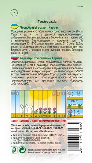 chornobryvtsi-karmen-1