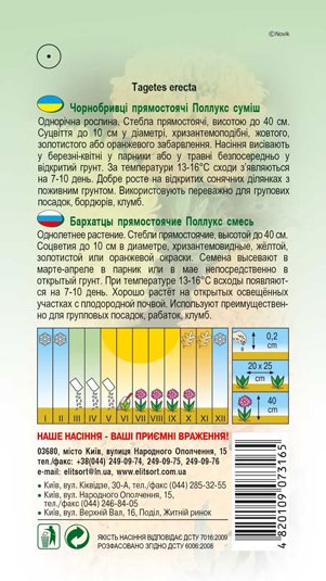 chornobryvtsi-polluks-sumish-1