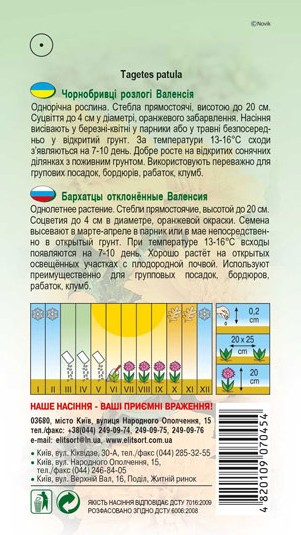 chornobryvtsi-valensiya-1