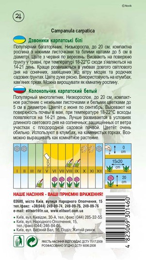 dzvonyky-karpatski-bili-1