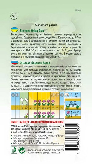 enotera-bila-1