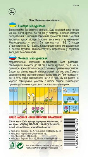 enotera-missurijska-zhovta-1