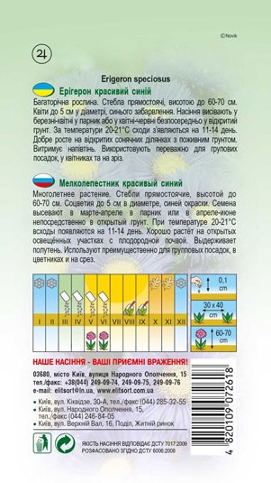 erigeron-synij-1