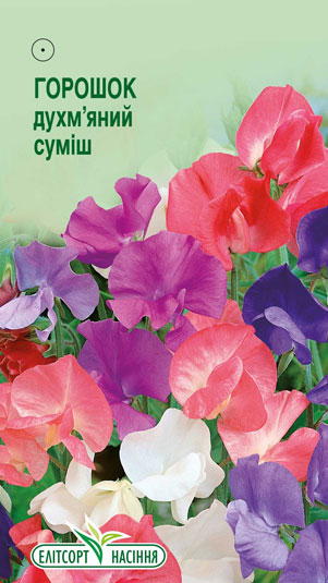 goroshok-duhm-yanyj-sumish