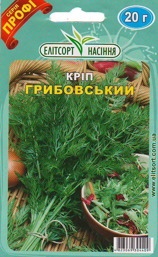 гриб