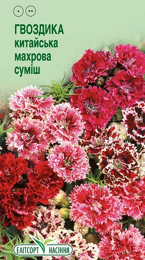 гвоздика-китайска-махрова-смесь