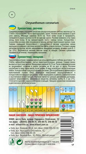 hryzantema-ovocheva-1