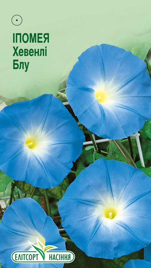ipomeya-hevenli-blu
