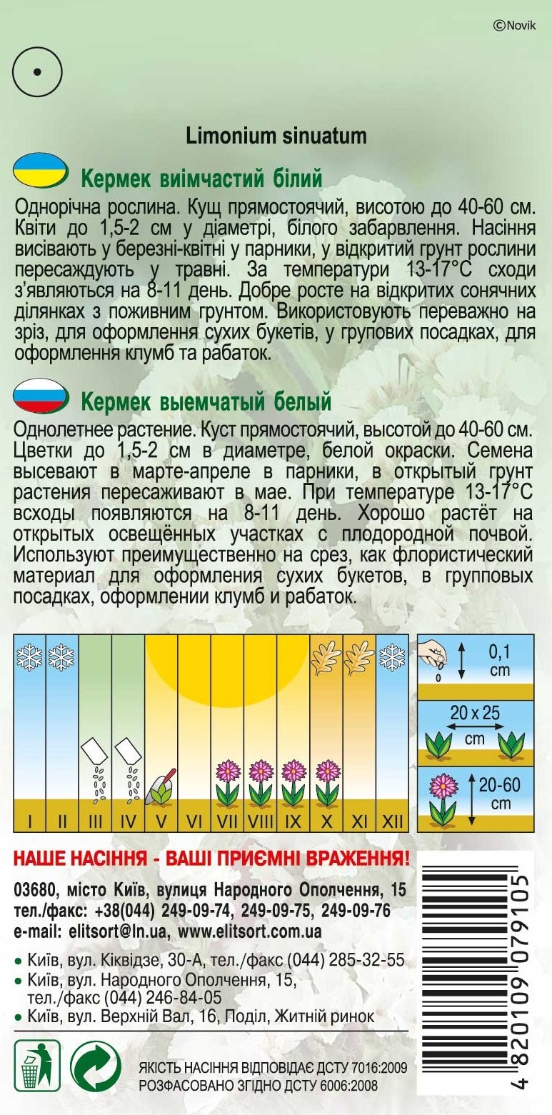 кермек-белый1452