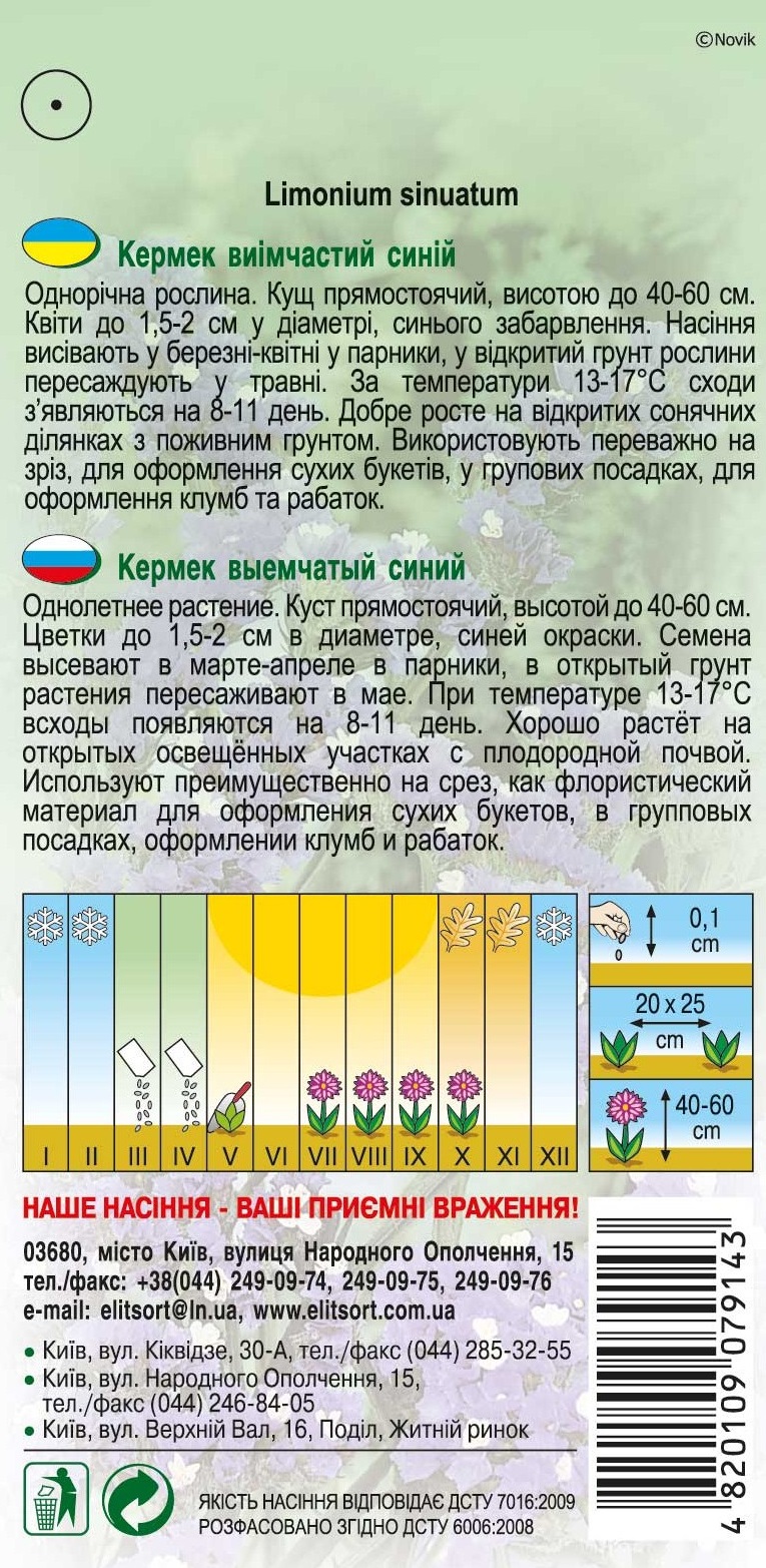 кермек-синий258