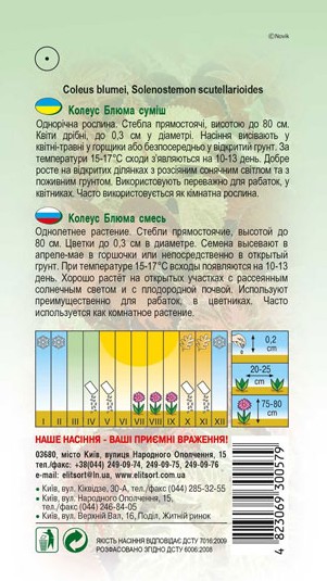 koleus-vizard-1